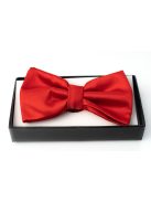 Csokornyakkendő piros